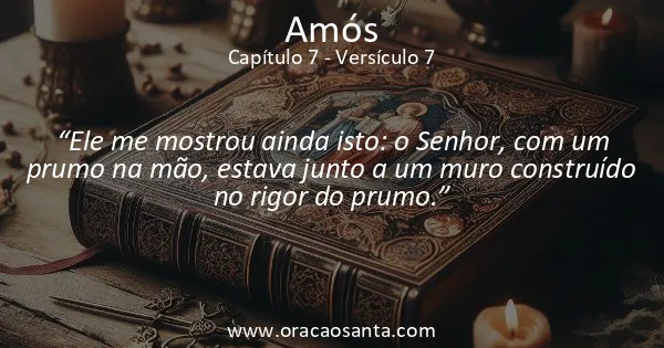 Amós 7:7