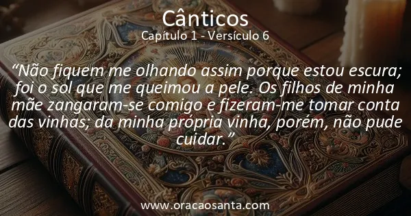Cânticos 1:6