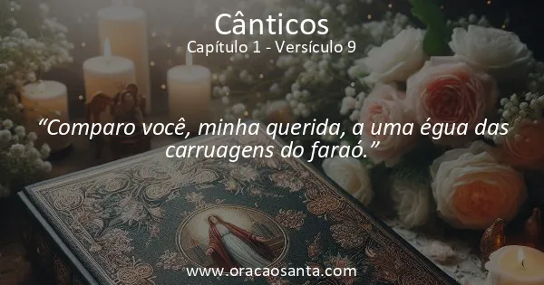Cânticos 1:9