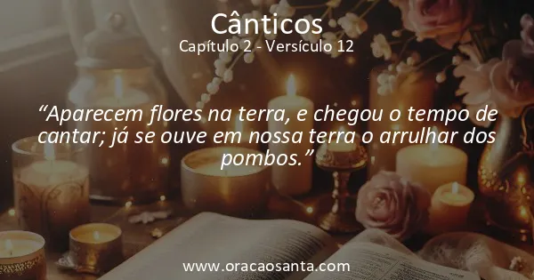 Cânticos 2:12