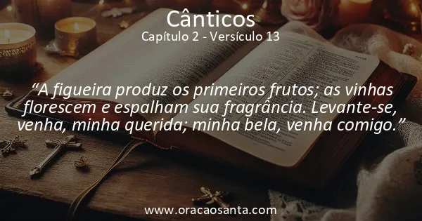 Cânticos 2:13