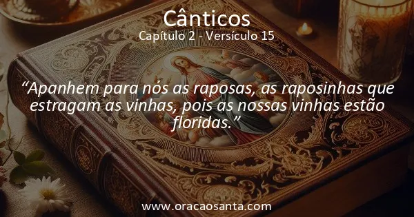 Cânticos 2:15