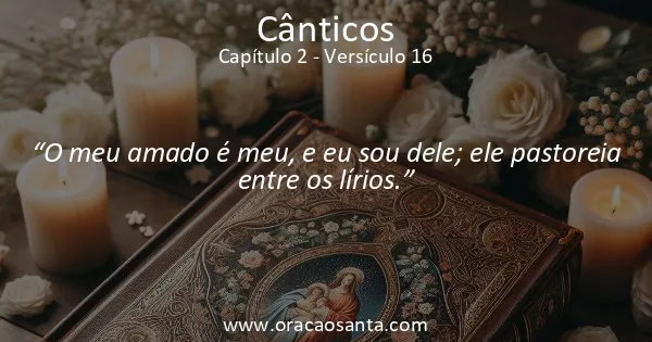 Cânticos 2:16