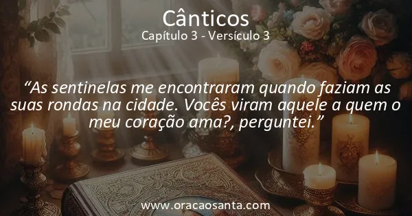 Cânticos 3:3