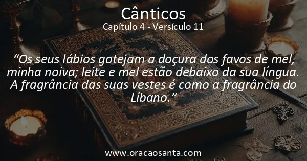 Cânticos 4:11