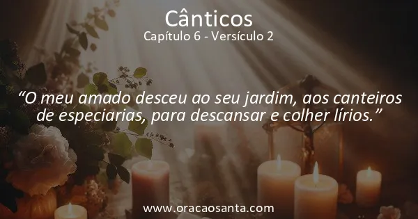 Cânticos 6:2