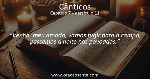 Cânticos 7:11