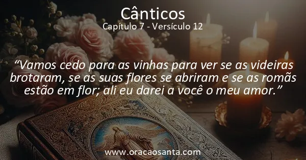 Cânticos 7:12