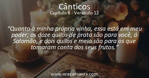 Cânticos 8:12