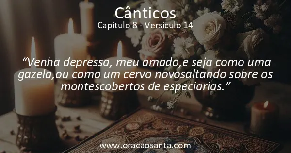 Cânticos 8:14