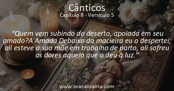 Cânticos 8:5
