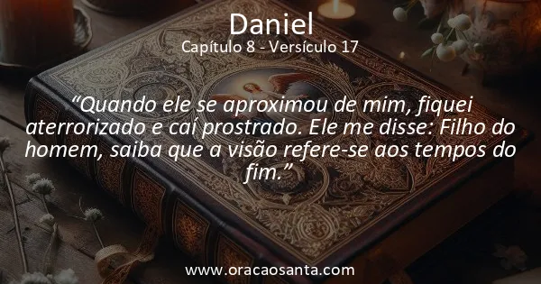 Daniel 8:17