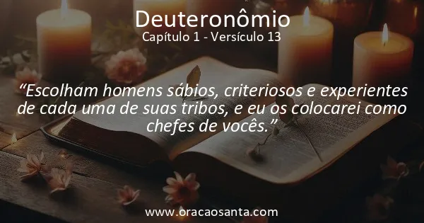 Deuteronômio 1:13