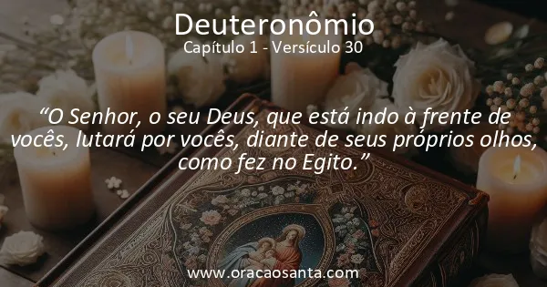 Deuteronômio 1:30