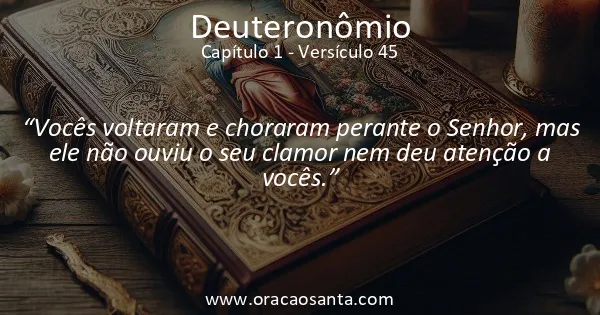 Deuteronômio 1:45