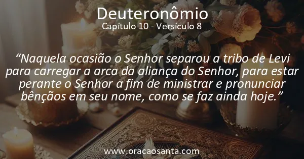 Deuteronômio 10:8