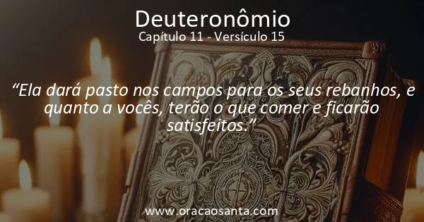Deuteronômio 11:15