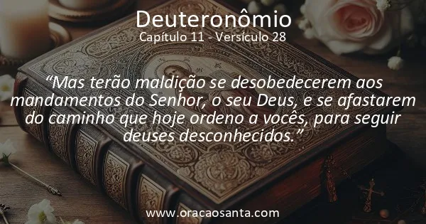 Deuteronômio 11:28