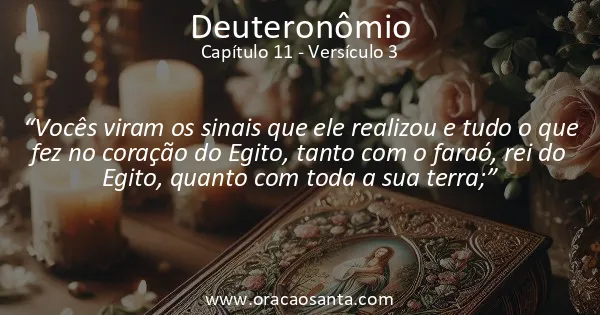 Deuteronômio 11:3