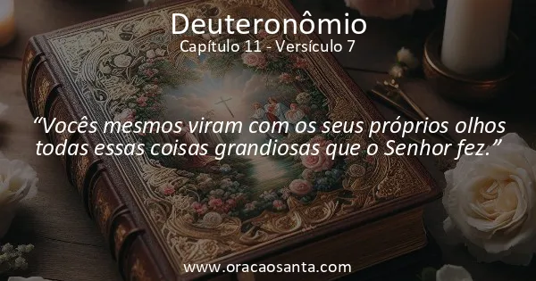 Deuteronômio 11:7