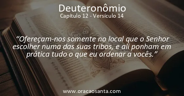 Deuteronômio 12:14