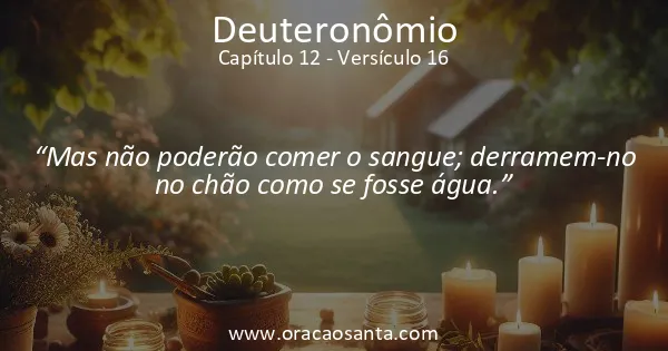 Deuteronômio 12:16