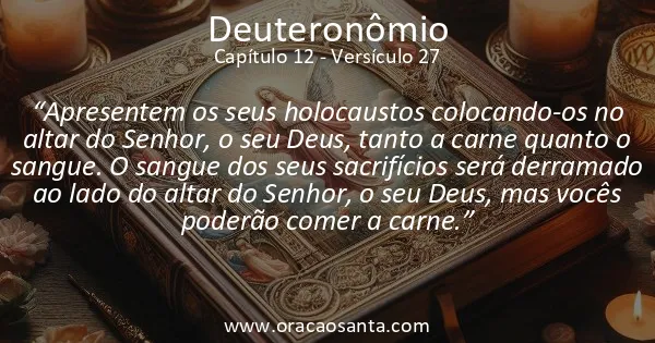 Deuteronômio 12:27