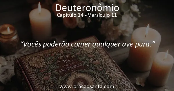 Deuteronômio 14:11