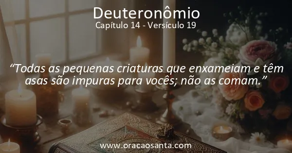Deuteronômio 14:19
