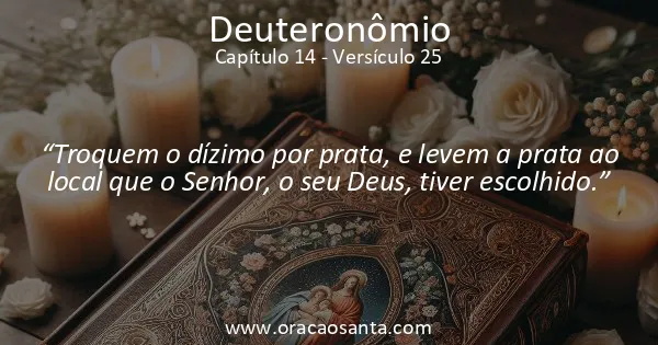 Deuteronômio 14:25