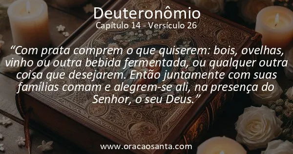Deuteronômio 14:26