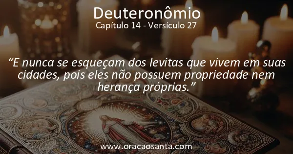 Deuteronômio 14:27