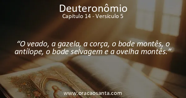 Deuteronômio 14:5