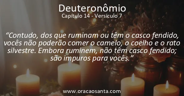 Deuteronômio 14:7