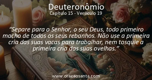 Deuteronômio 15:19