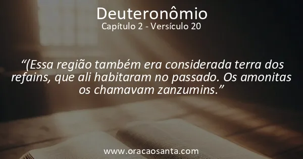 Deuteronômio 2:20