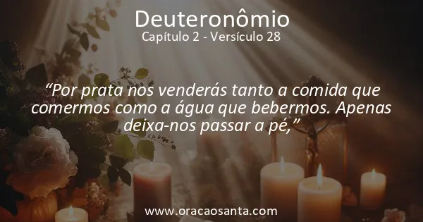 Deuteronômio 2:28
