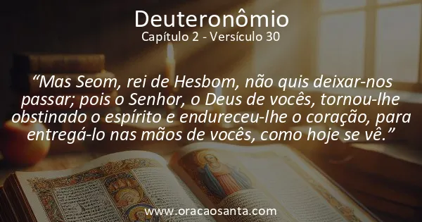 Deuteronômio 2:30