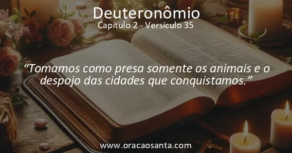 Deuteronômio 2:35
