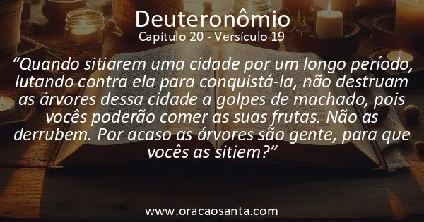 Deuteronômio 20:19