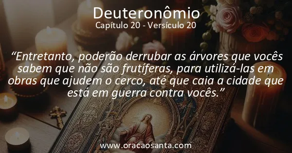 Deuteronômio 20:20