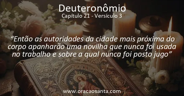Deuteronômio 21:3