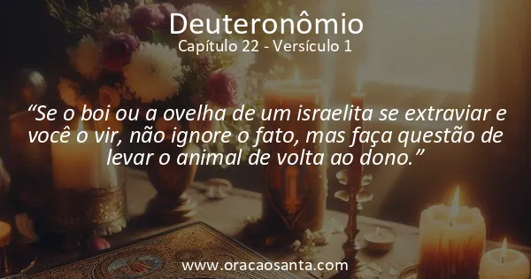 Deuteronômio 22:1
