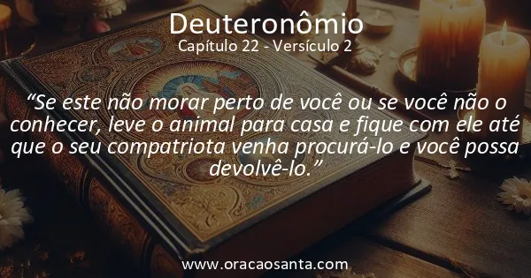 Deuteronômio 22:2