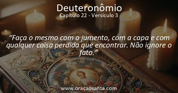 Deuteronômio 22:3