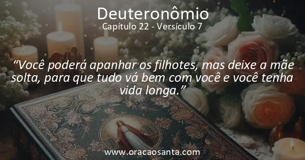 Deuteronômio 22:7