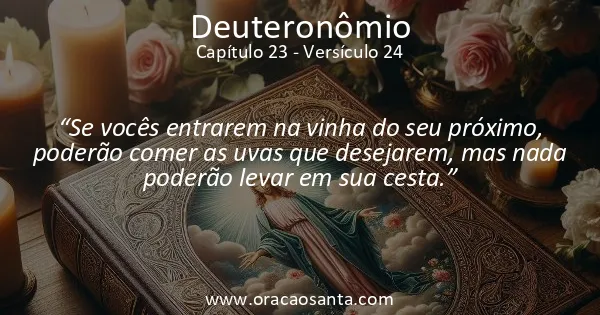 Deuteronômio 23:24