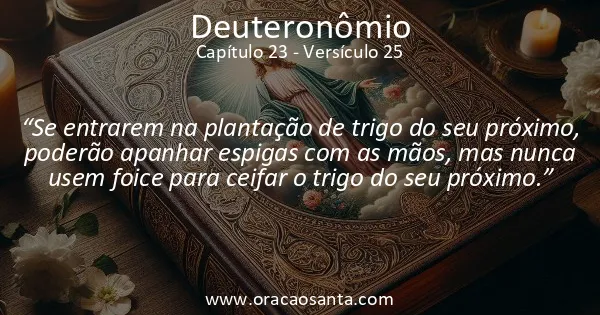 Deuteronômio 23:25