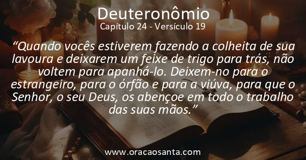 Deuteronômio 24:19