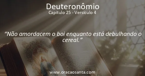 Deuteronômio 25:4